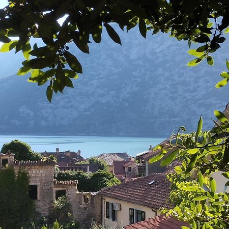 Apartments Montenegro Risan Cuckovic Eksteriør billede