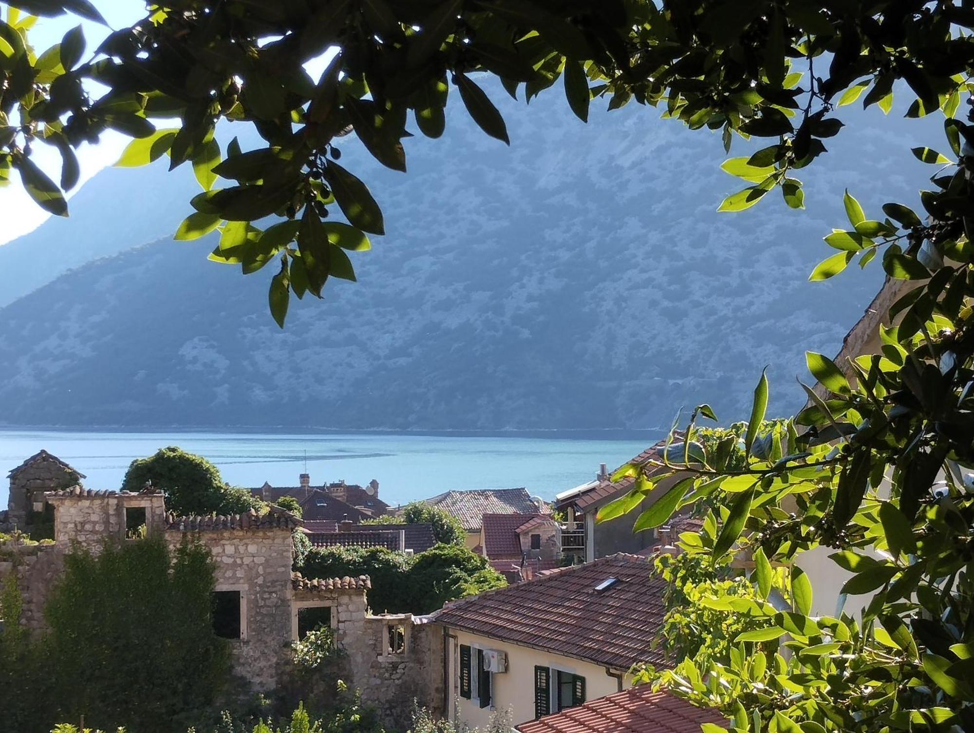Apartments Montenegro Risan Cuckovic Eksteriør billede